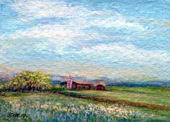 "Summer In Wisconsin" by Sandra Haspl, Madison WI - Acrylic, SOLD